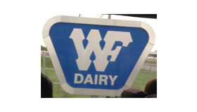 W Dairy